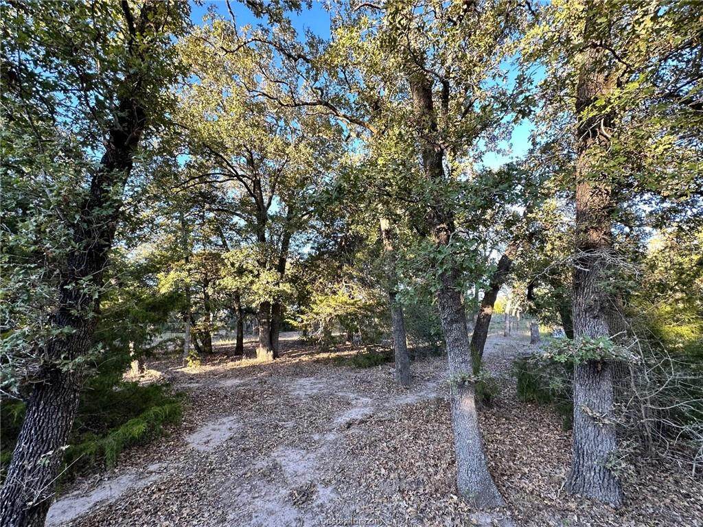 TBD Dymple Pvt Lane - Photo 1