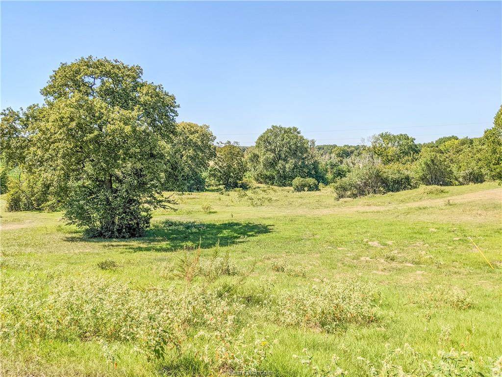 TBD Warren Road - Photo 1