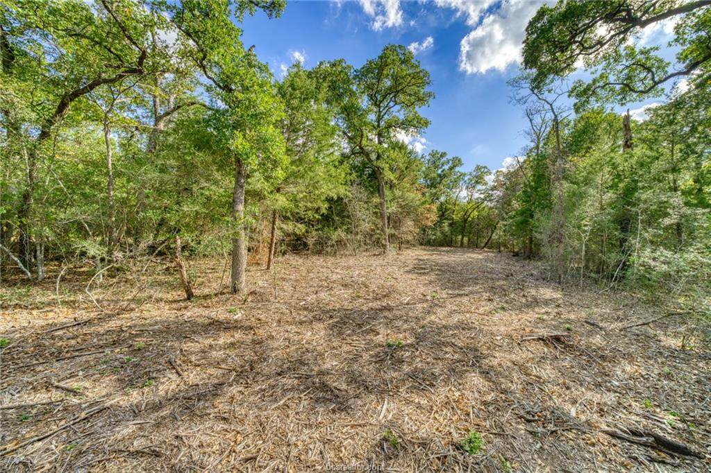 3049 Arapaho Ridge Drive - Photo 1
