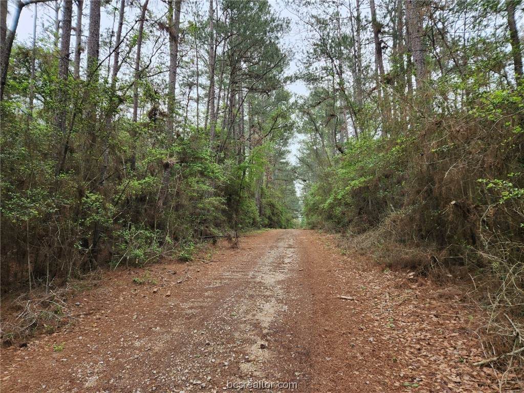 Lot 25 North Council Dr. - Photo 1