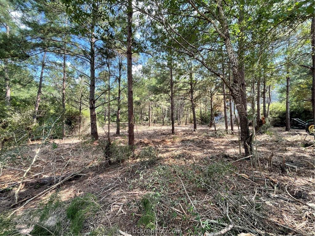 TBD Kingston Lane - Photo 1