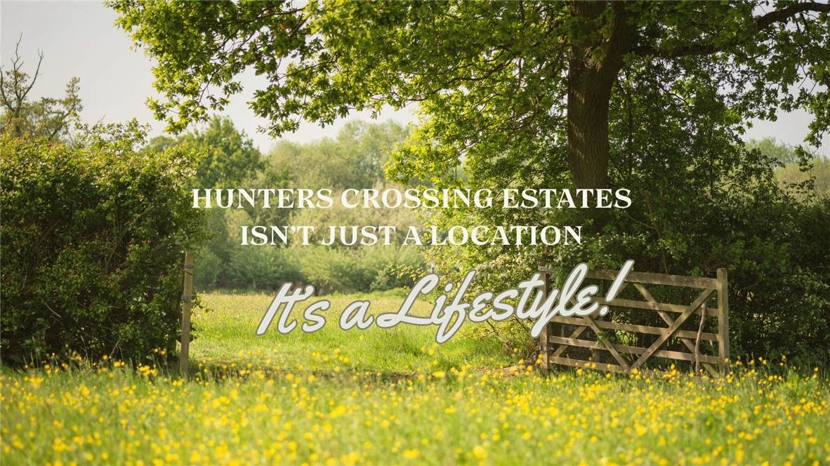 6436 Scenic View Trail - Photo 1