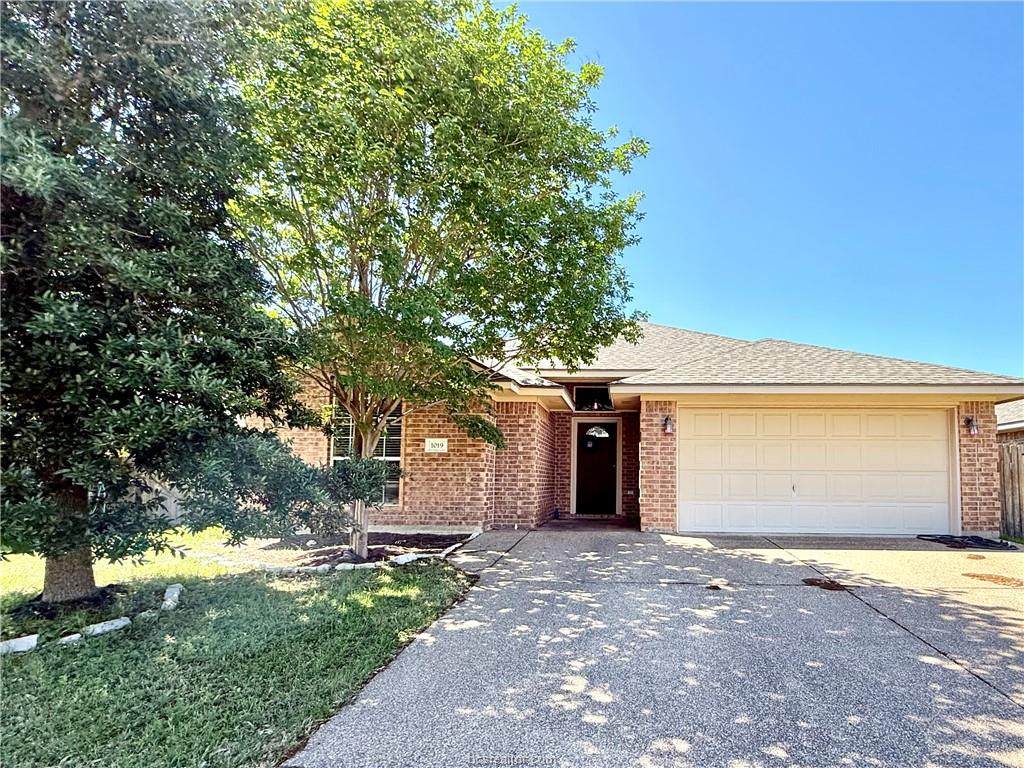 1019 Emerald Dove Avenue - Photo 1