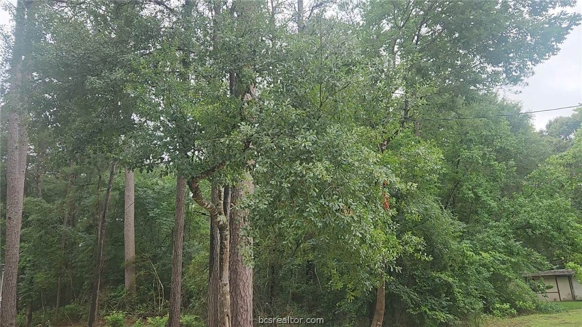1017 Weeping Willow Drive - Photo 1