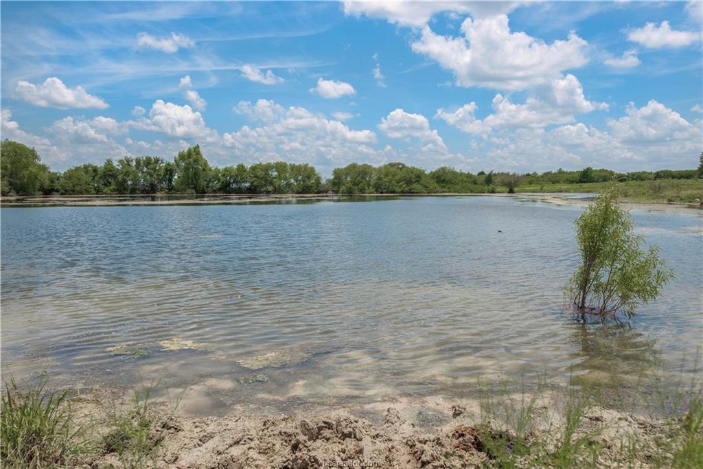 00685 County Road 446 - Photo 1