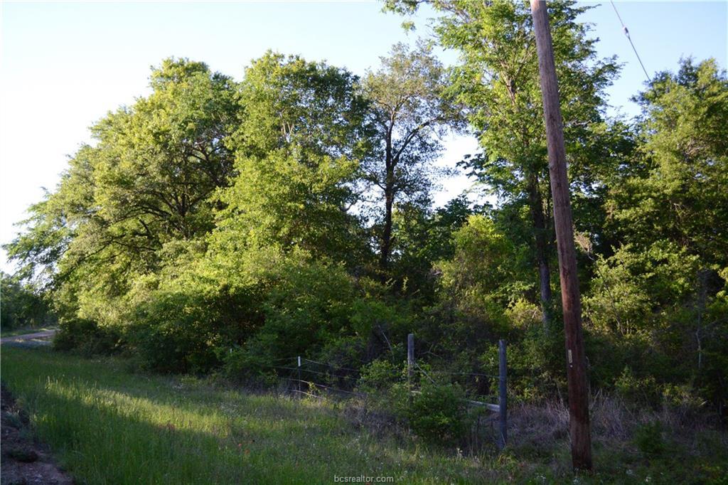 000 Swan Lake Drive - Photo 1