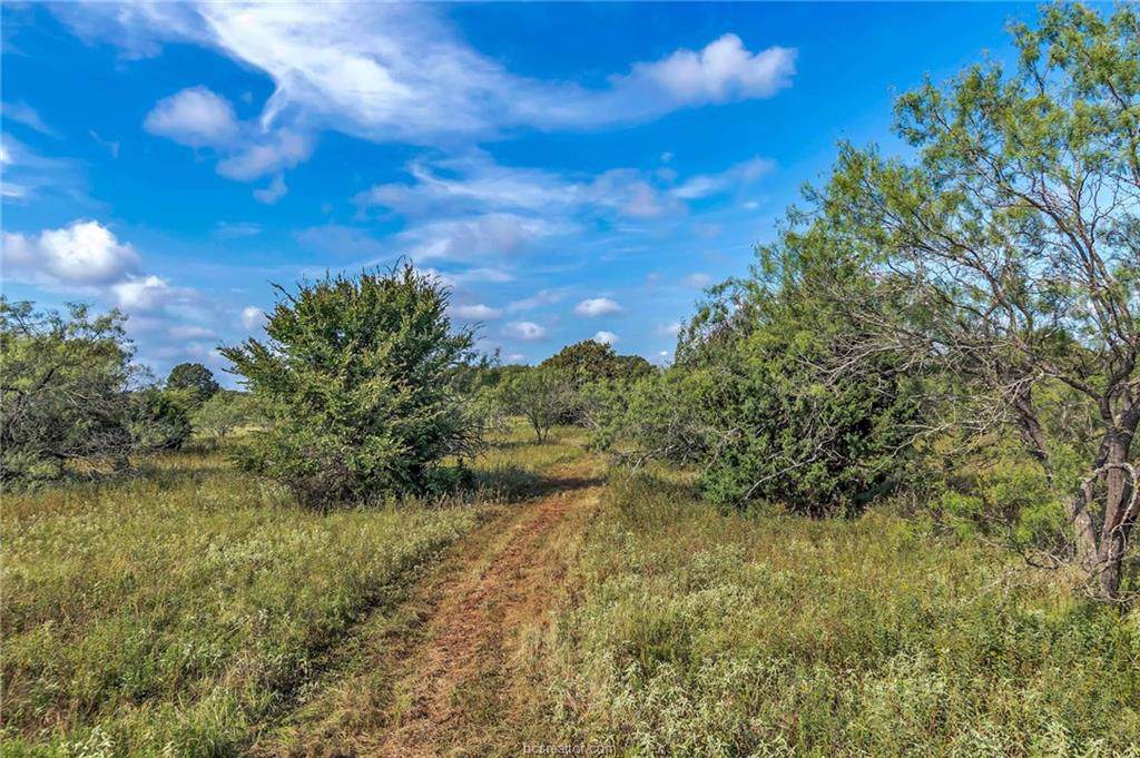 800 W Fm 979 Farm To Market Road - Photo 1
