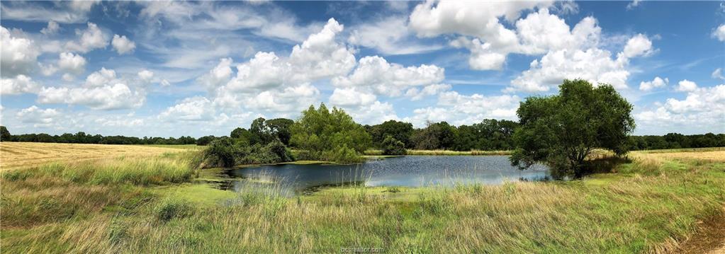 8832 Fm 1940 Farm To Market Road - Photo 1
