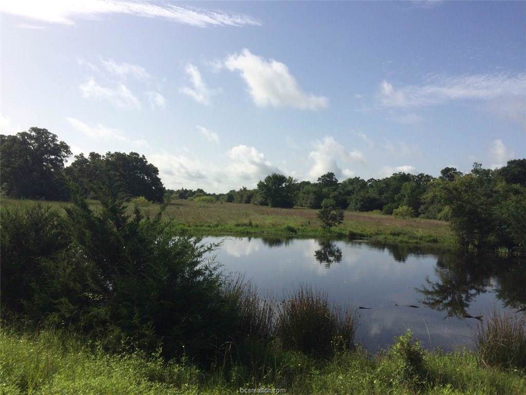 9744 Hottell Road - Photo 1