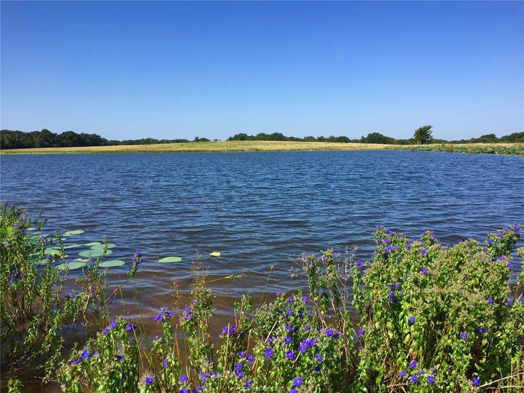 (+/-160 ac)TBD Fm 2413 - Photo 1