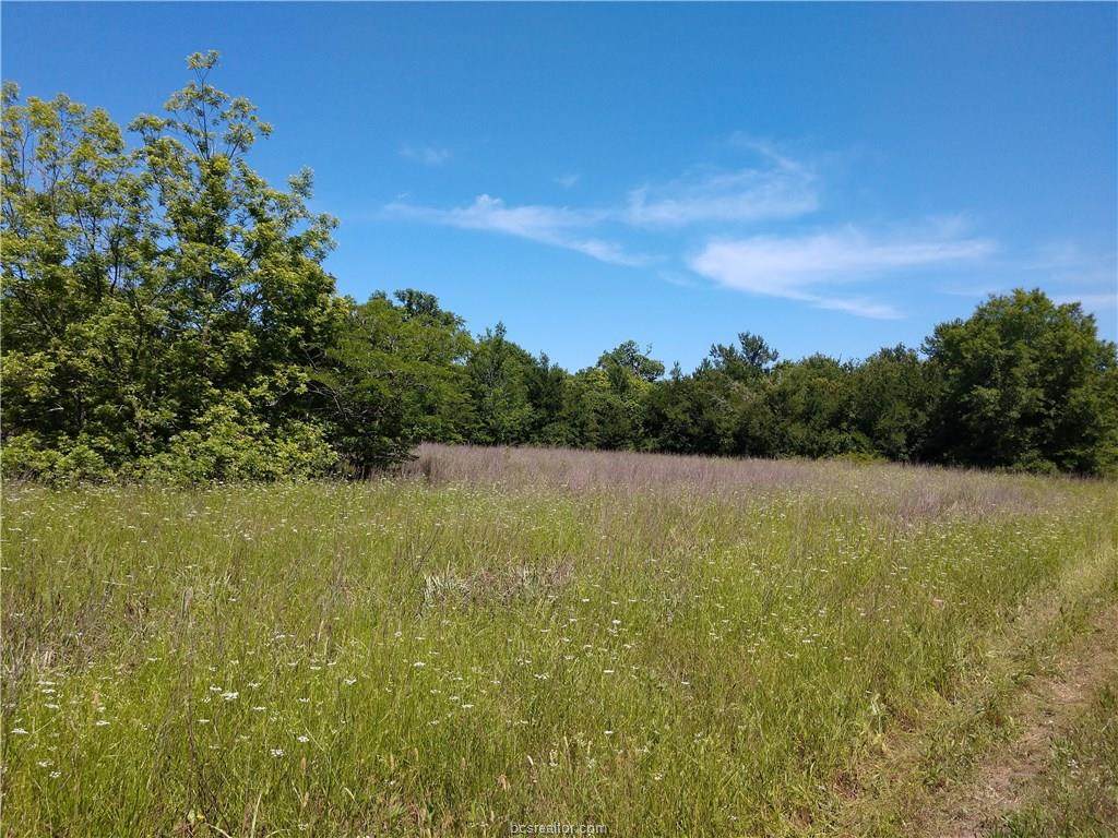 17575 River Lake Pvt Road - Photo 1