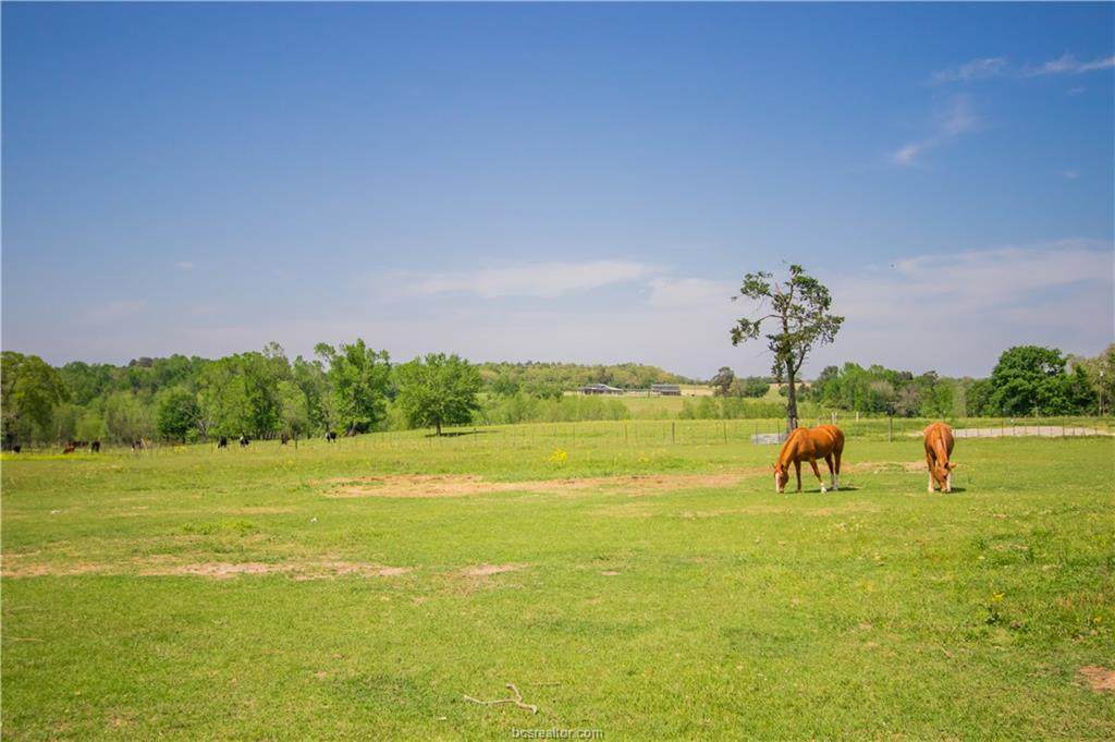 1830 County Road 278 - Photo 1
