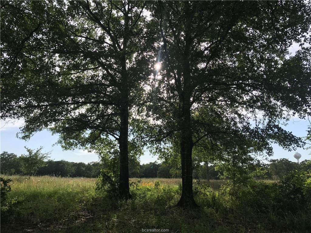 0000 Albert Drive - Photo 1
