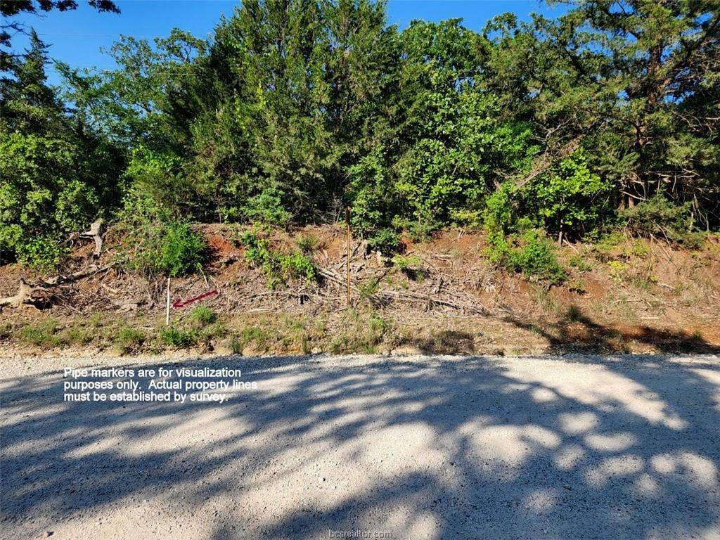 TBD Jackrabbit Lane - Photo 1
