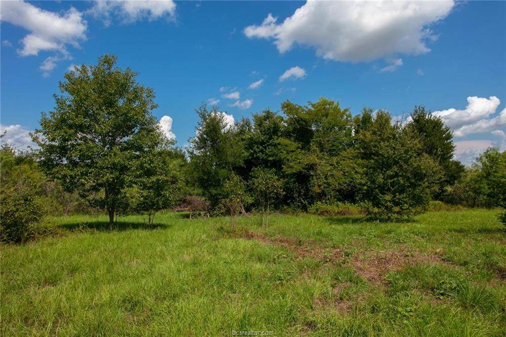 12886 Fm 2000 - Photo 1