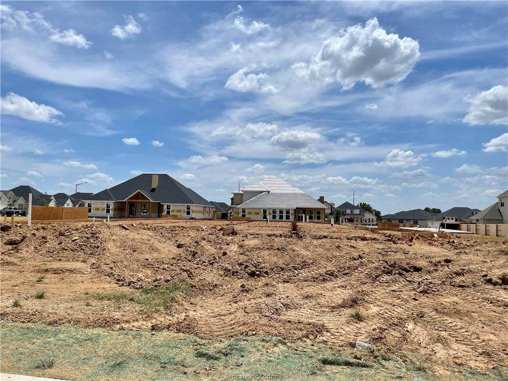 3534 Parmer Creek - Photo 1