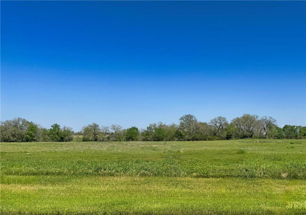 10094 Panther Creek Drive - Photo 1