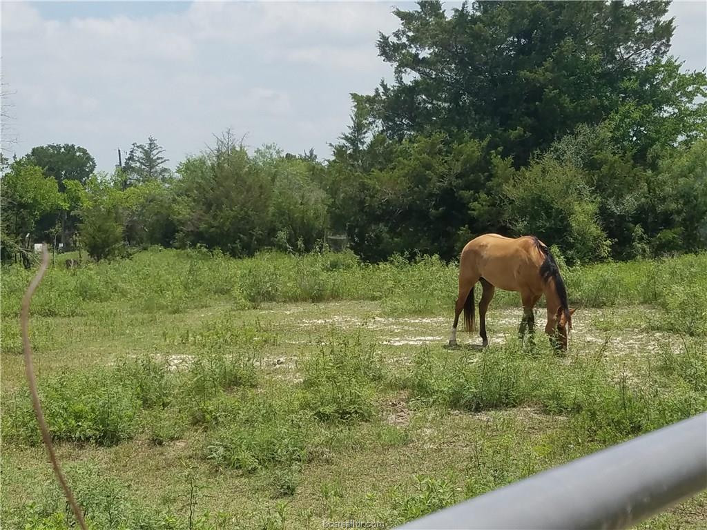 9599 River Road - Photo 1