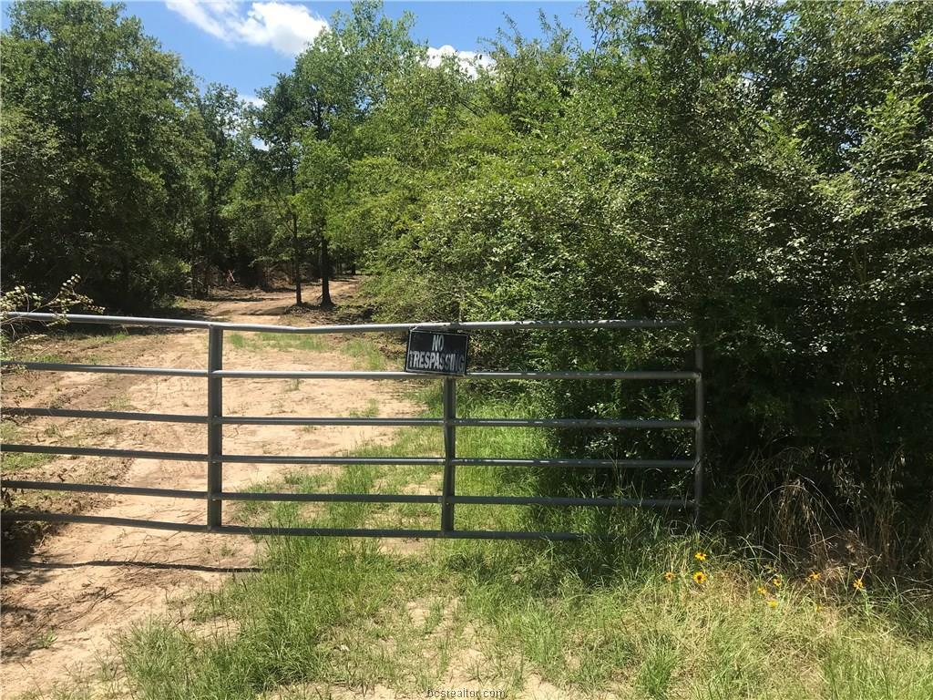 41.741 Acres W Caney Road - Photo 1