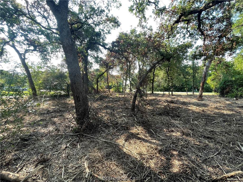 TBD Piper Lane - Photo 1