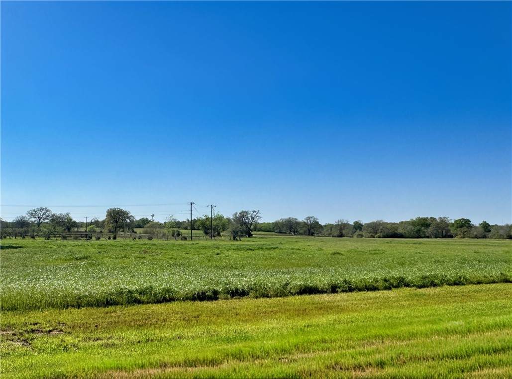 10045 Panther Creek Drive - Photo 1