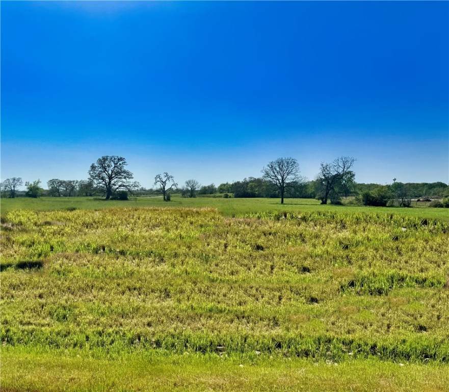 10199 Panther Creek Drive - Photo 1