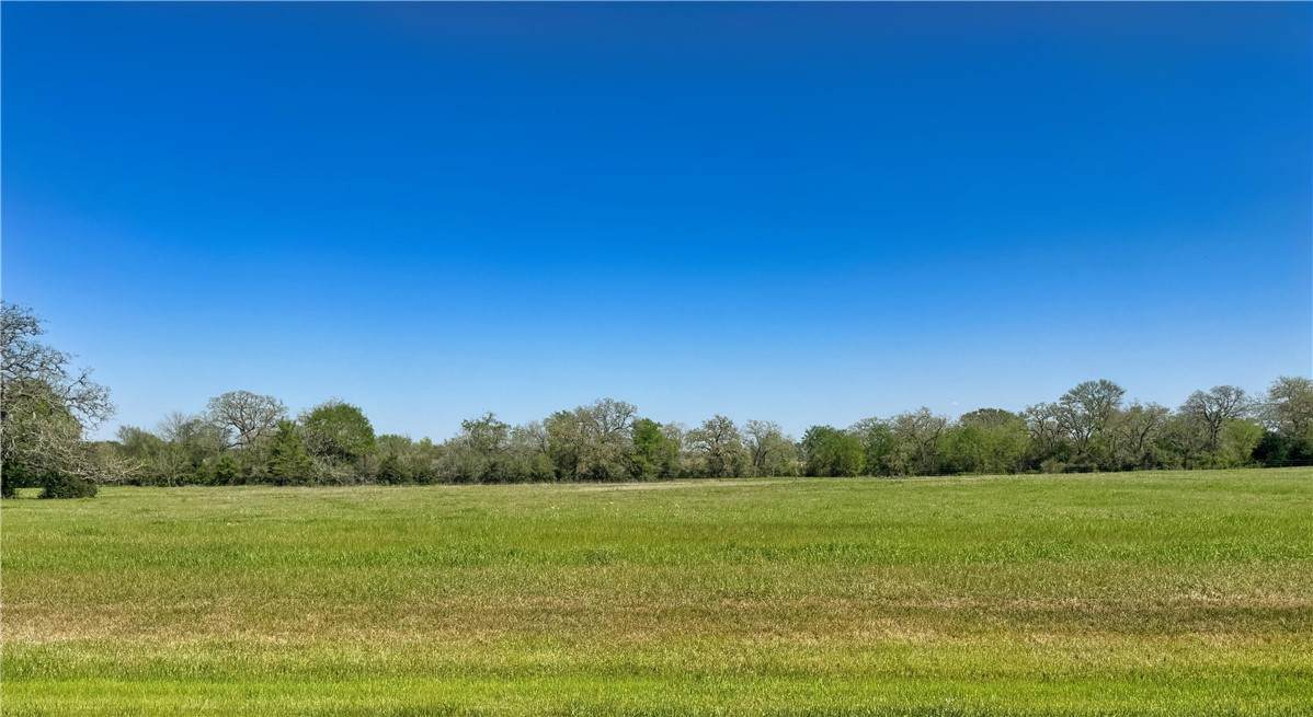 10146 Panther Creek Drive - Photo 1