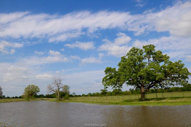 15130 Fm 39 Road - Photo 1