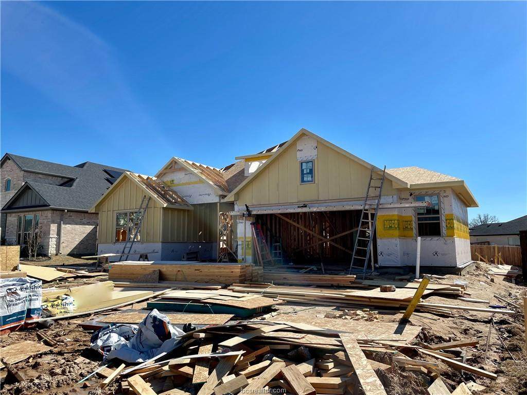 3613 Llano River Drive - Photo 1
