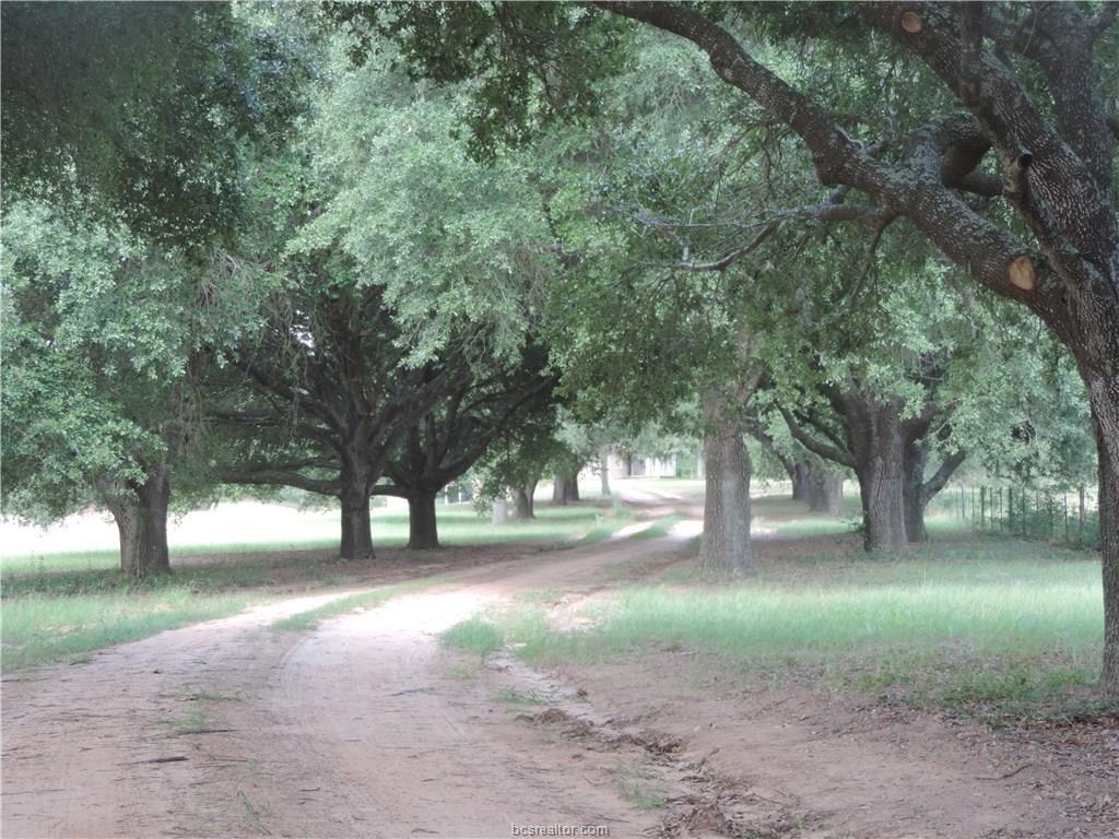 4704 County Road 458 County Road - Photo 1