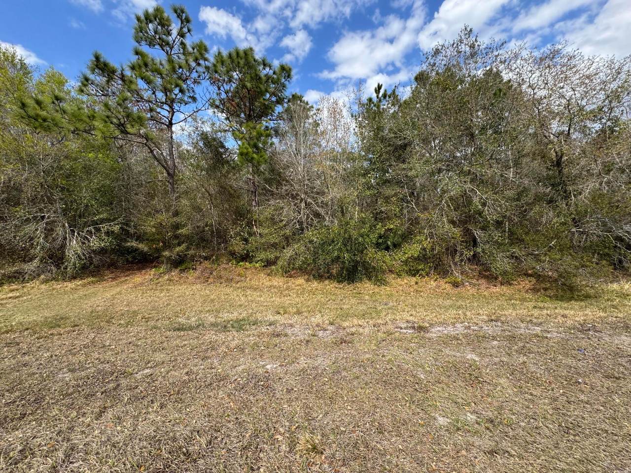 000 Canoe Creek Road - Photo 1