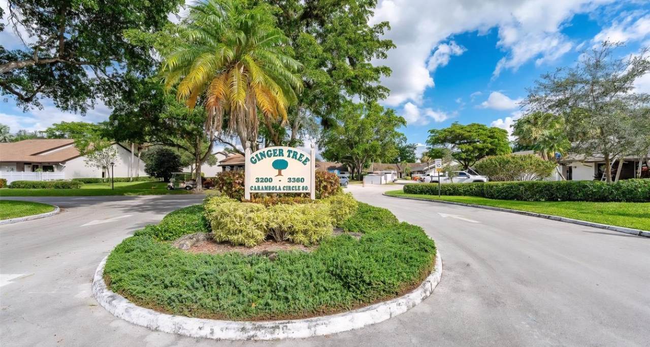 3226 Carambola Cir - Photo 1