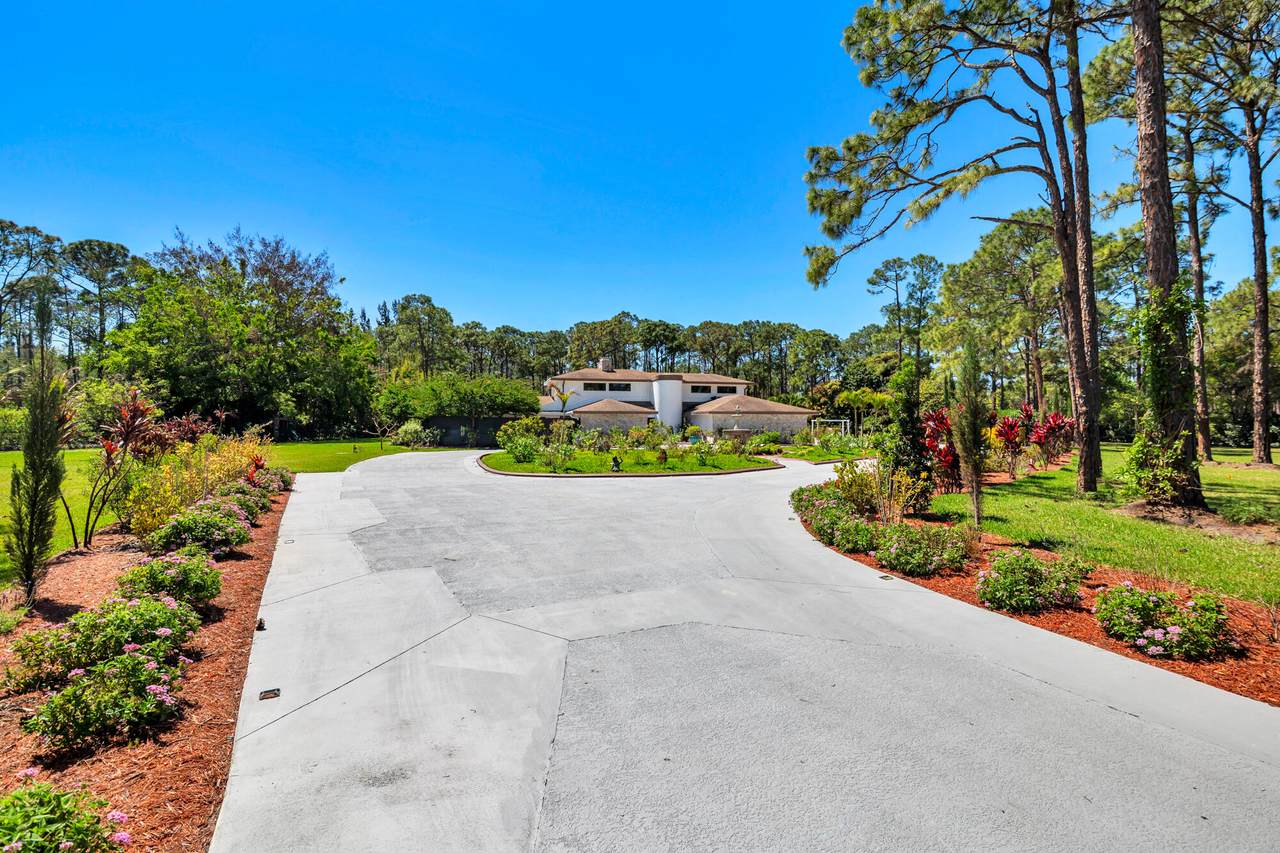 14645 Black Bear Road - Photo 1