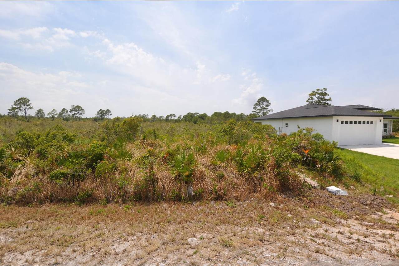 4925 Fettuccine Avenue - Photo 1