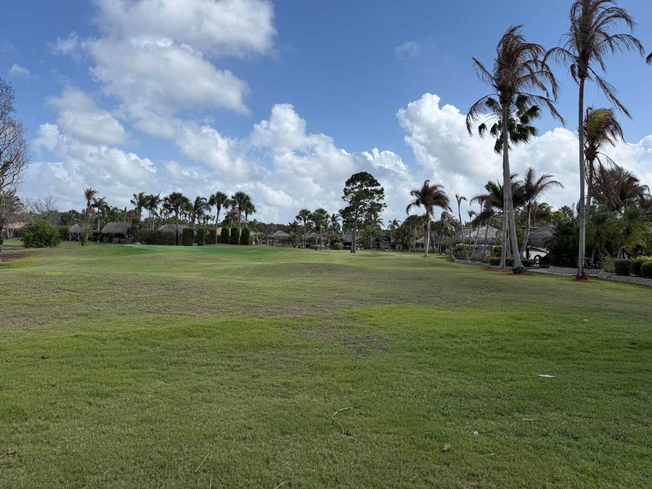 424 Chipshot Lane - Photo 1