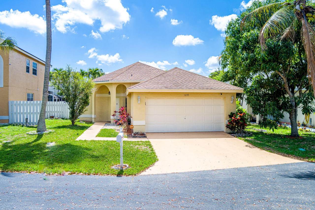 1239 Sussex Street - Photo 1