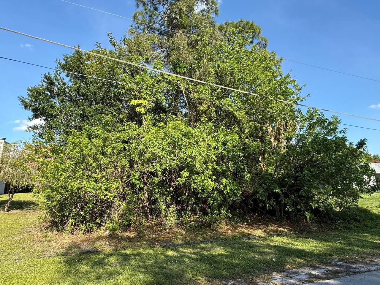 2325 Saphire Terrace - Photo 1