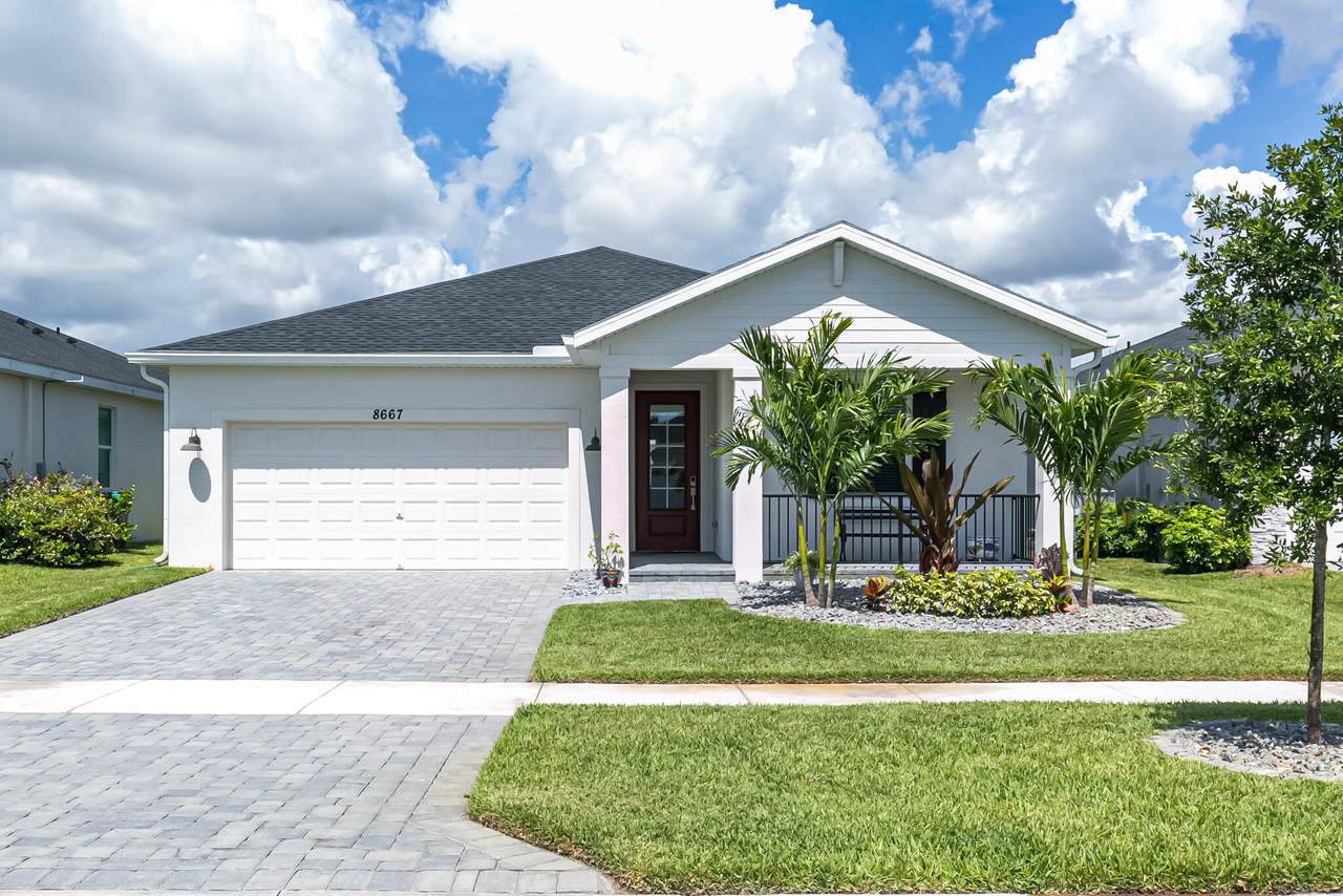 8667 Dahlia Circle - Photo 1