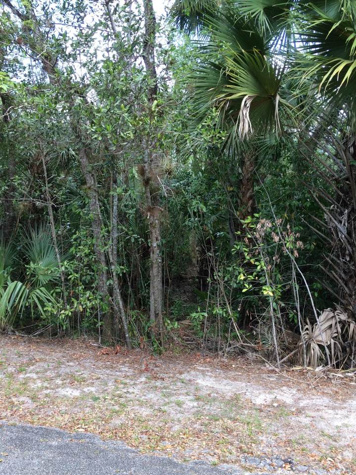 1802 Old River Road - Photo 1
