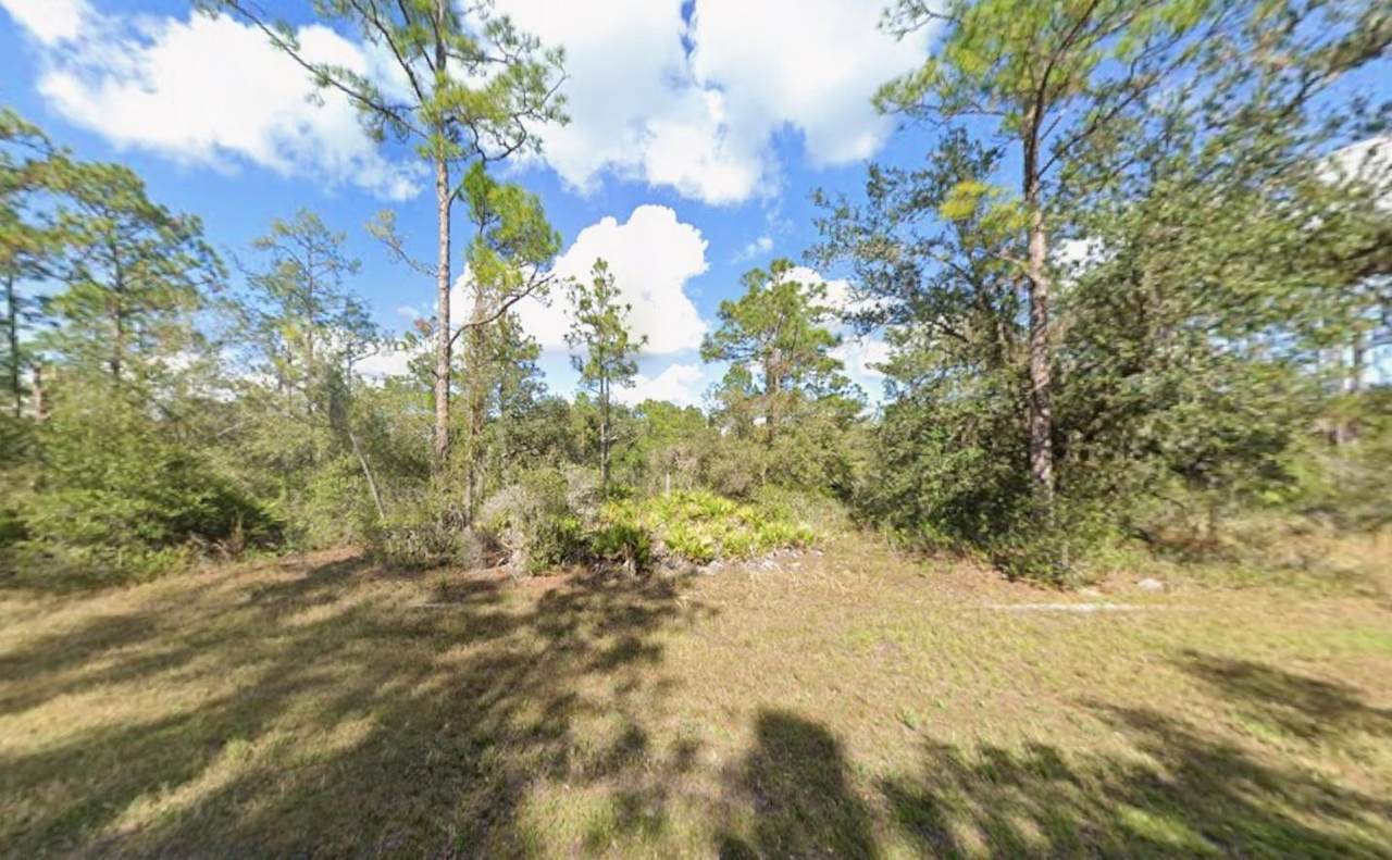 Tbd Plumosa Drive - Photo 1