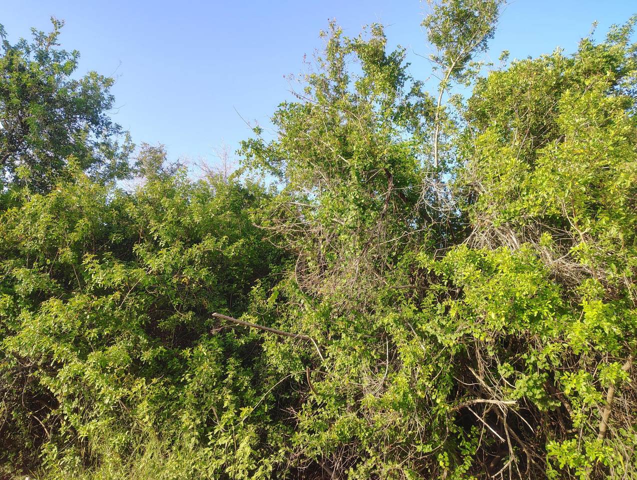 https://bt-photos.global.ssl.fastly.net/beaches/1280_boomver_1_B26046465-2.jpg