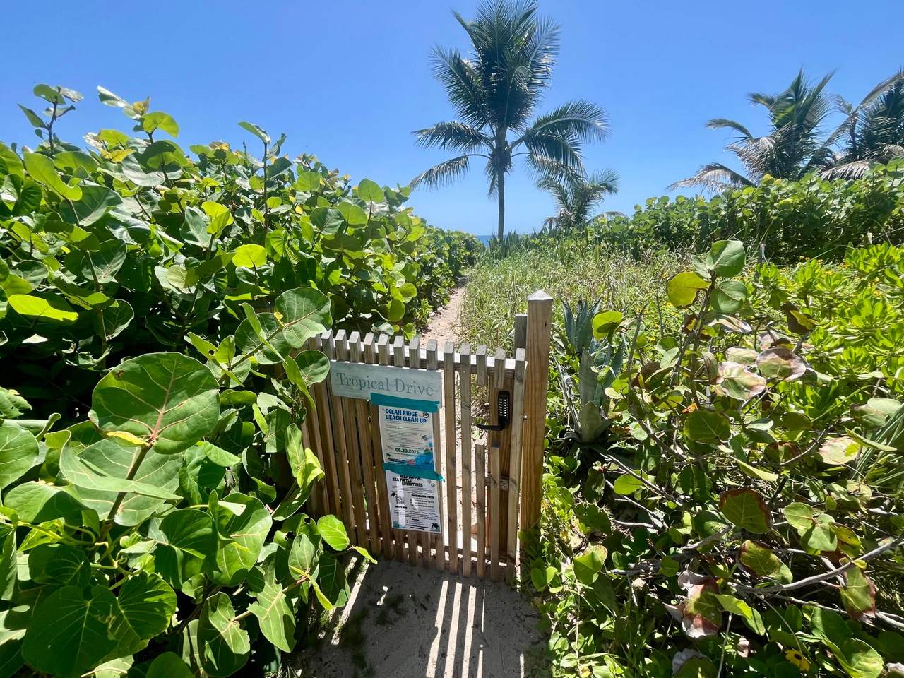 https://bt-photos.global.ssl.fastly.net/beaches/1280_boomver_1_B26046948-2.jpg