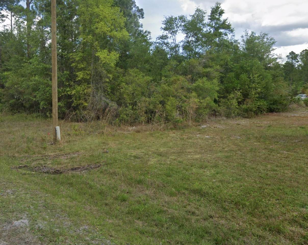 000 Roebuck Street - Photo 1