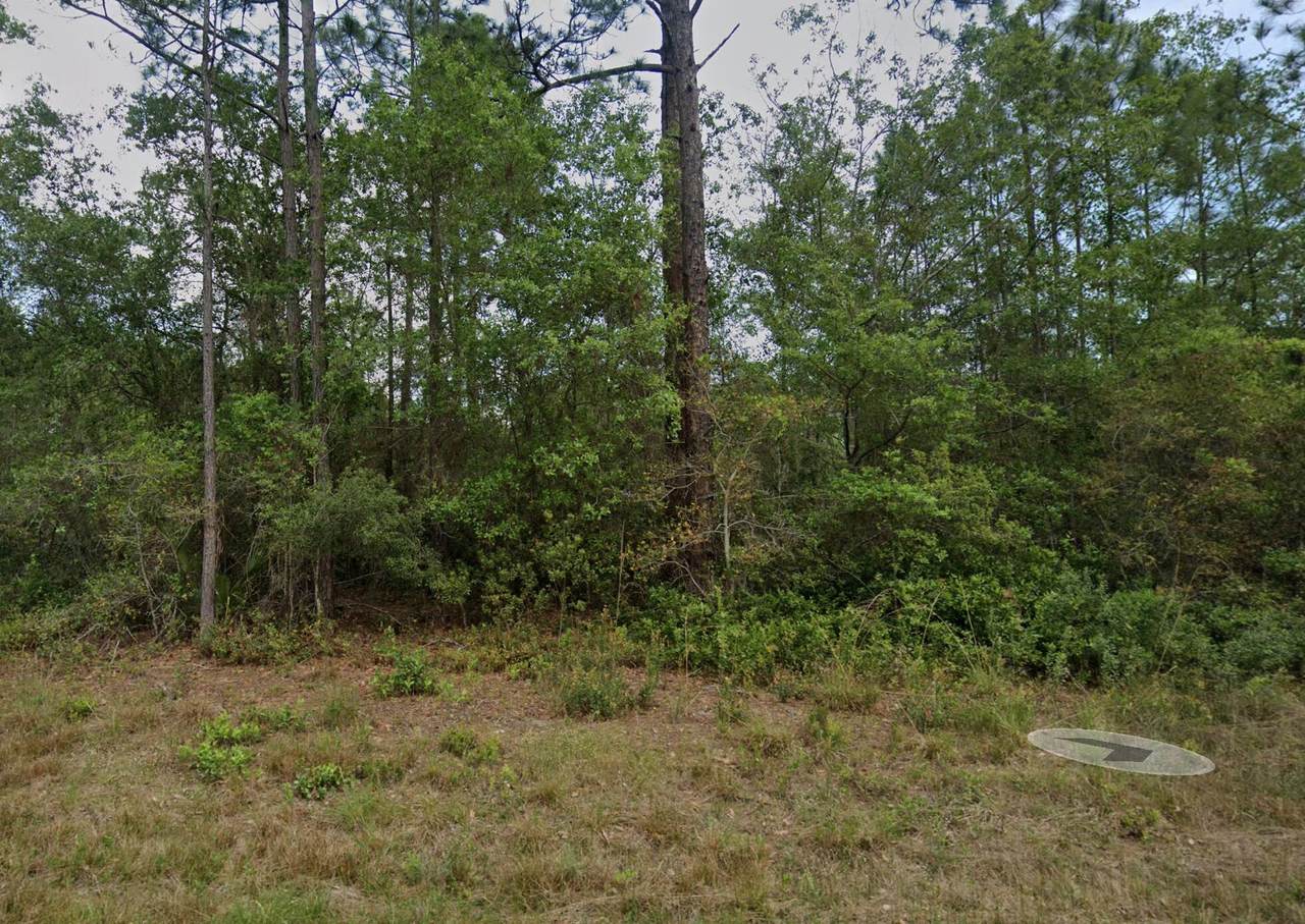 124 Roebuck Street - Photo 1