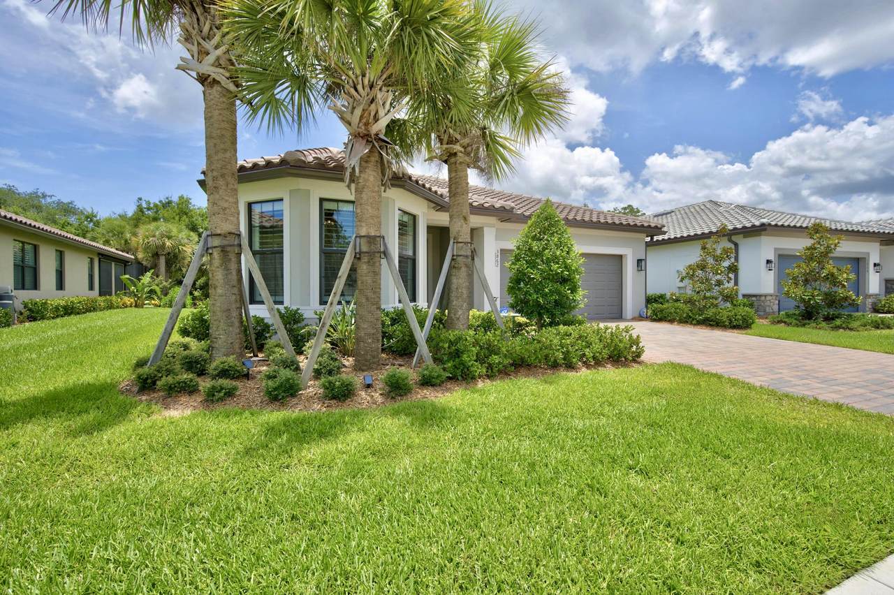 3862 White Alder Way - Photo 1