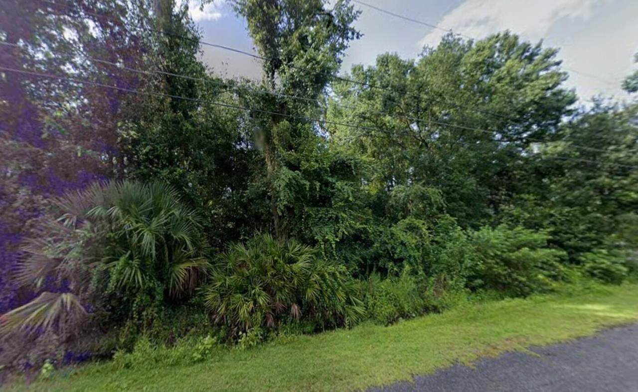 242 Toms Road - Photo 1