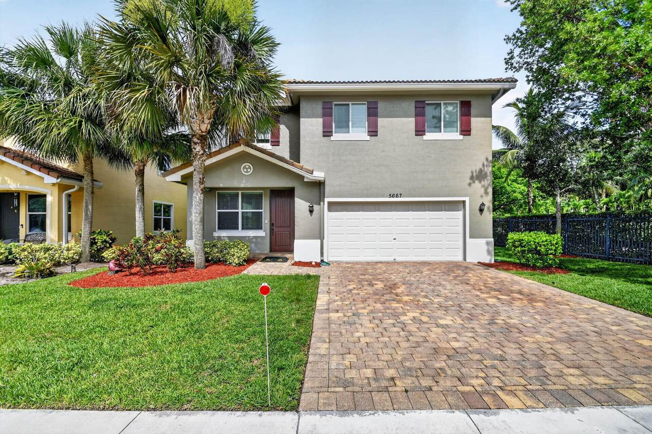5667 Caranday Palm Drive - Photo 1
