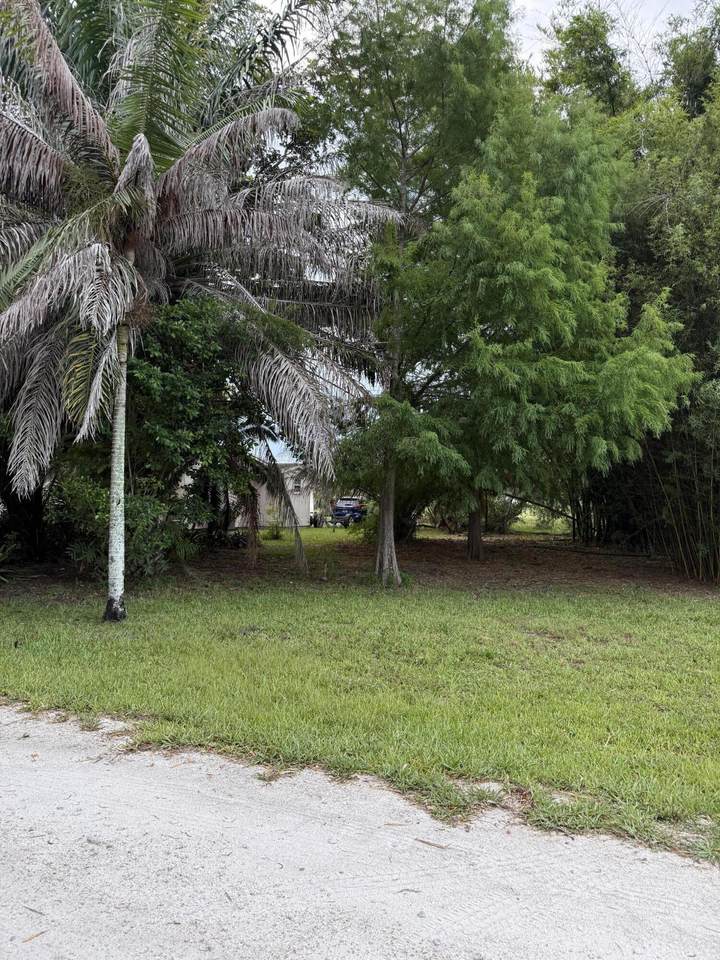 345 Citrus Drive - Photo 1