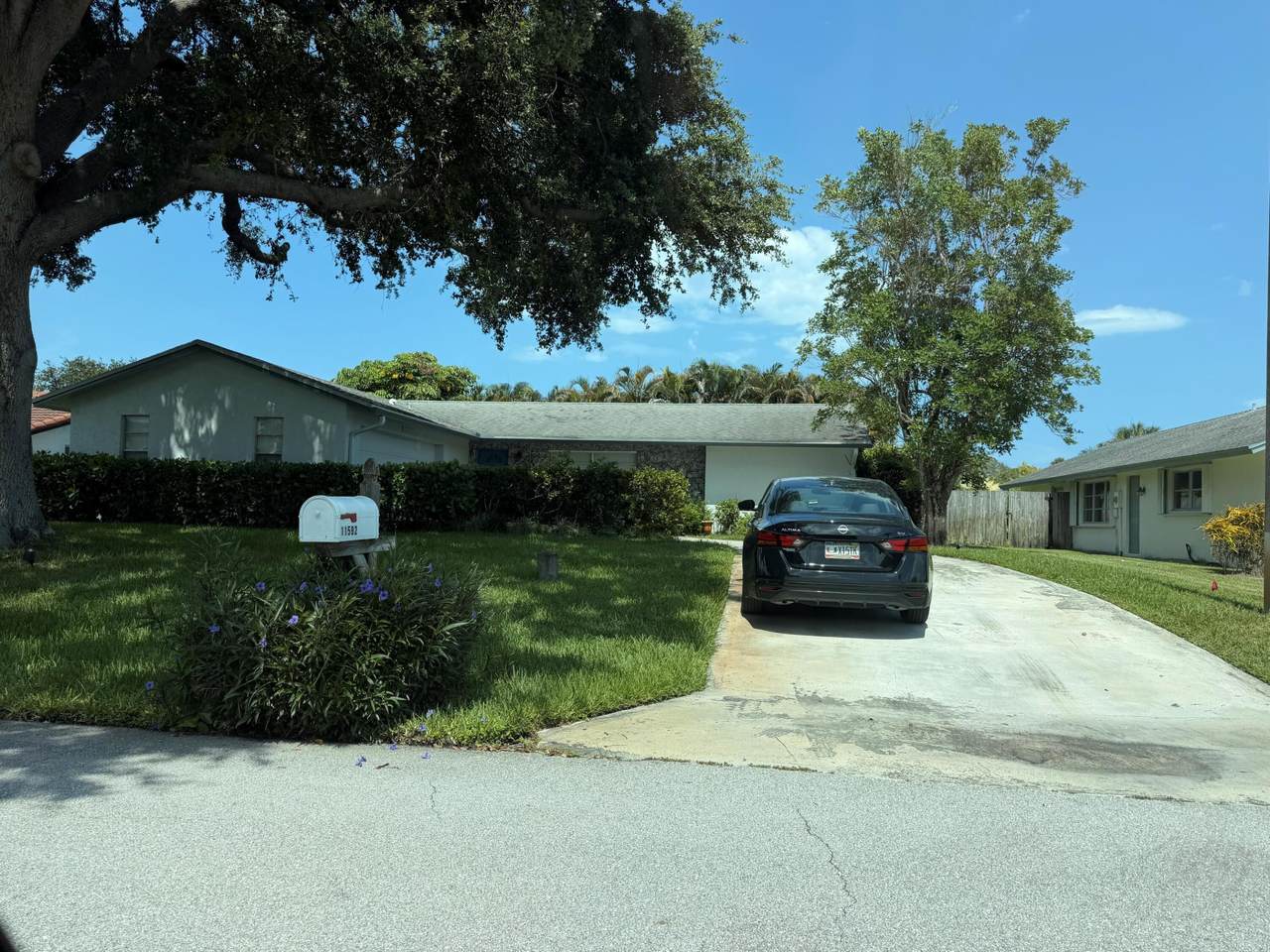 11592 Ficus Street - Photo 1