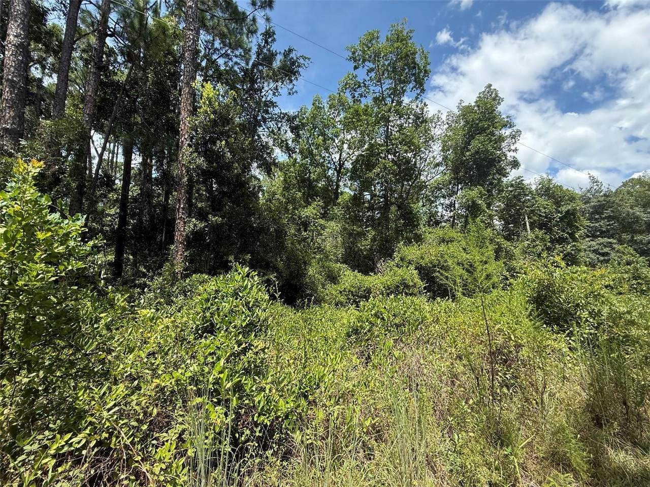 313 Calhoun Avenue - Photo 1